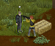 1733590639853.png