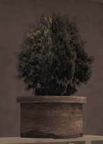 1733693640062.png