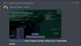 1733989938456.png