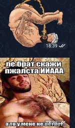 1734190797768.jpg