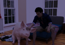 56666.png
