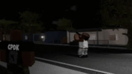0110.gif