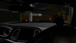 0110 (1)(1).gif