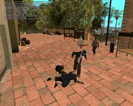gallery31.jpg