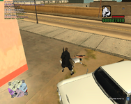 sa-mp-010.png