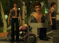 In-Game01.png