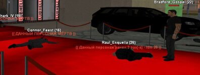 5249004555100874515.jpg