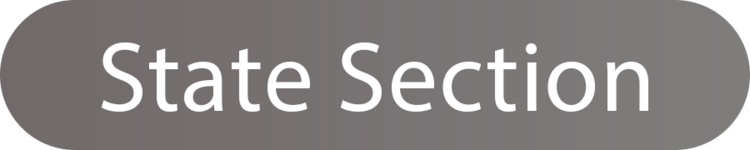 state section.png