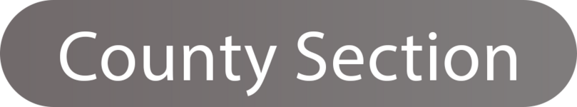 county section.png