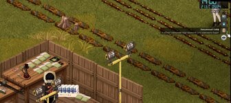 WjYW-Cf-vpg.jpg