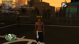 sa-mp-350.png
