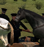 1739959224036.png