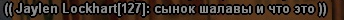 1740331368583.png
