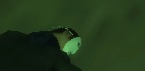 1740334553595.png