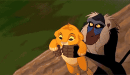 1741908850391.gif