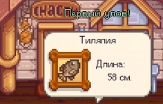1742120900521.png