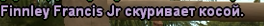 1742499018347.png