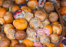 rotten-mandarin-oranges-landfill-spoilt-citrus-products-tropical-fruit-pile-garbage-179878924.jpg