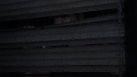 tlou-ii_31smJUc5dy.jpg