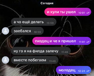IMG_9523.jpeg