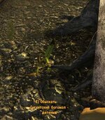 ScreenShot24.jpg