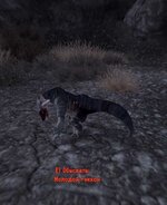 ScreenShot40.jpg