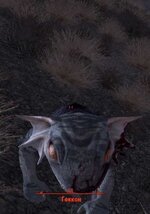 ScreenShot42.jpg