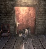 ScreenShot55.jpg