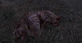 ScreenShot219.jpg