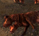 ScreenShot243.jpg