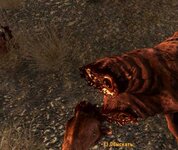 ScreenShot244.jpg