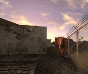 ScreenShot245.jpg