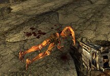 ScreenShot272.jpg