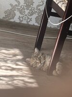 IMG_8865.jpeg