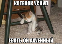 1745411676362.png