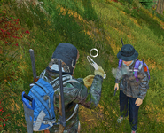 1745784863923.png