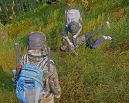 1745784883730.png