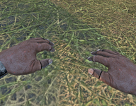 1746215123612.png