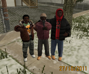 gallery266.png