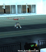 1746907311319.png