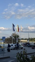 IMG_1353.jpeg
