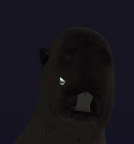 1747768750658.png