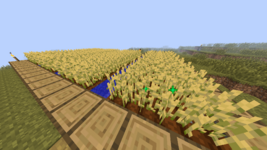 2025-05-21_20.15.36.png