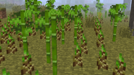 2025-05-21_20.39.39_2.png