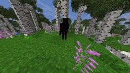 2025-05-24_19.09.15.png
