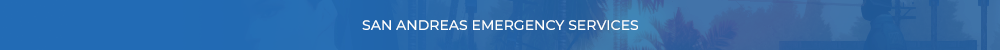 SAESLogoType2.png