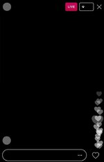 IMG_0133.jpeg