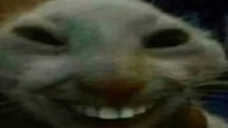 1751539936422.png