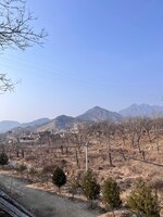 IMG_3836.jpeg