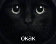 1754337581797.png